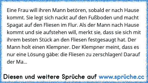 Eine Frau will ihren Mann betören, sobald er nach Hause kommt. Sie legt sich nackt auf den Fußboden und macht Spagat auf den Fliesen im Flur. Als der Mann nach Hause kommt und sie aufstehen will, merkt sie, dass sie sich mit ihrem besten Stück an den Fliesen festgesaugt hat. Der Mann holt einen Klempner. Der Klempner meint, dass es nur eine Lösung gäbe: die Fliesen zu zerschlagen! Darauf der Ma...