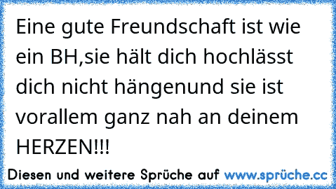 Eine gute Freundschaft ist wie ein BH,
sie hält dich hoch
lässt dich nicht hängen
und sie ist vorallem ganz nah an deinem HERZEN!!!