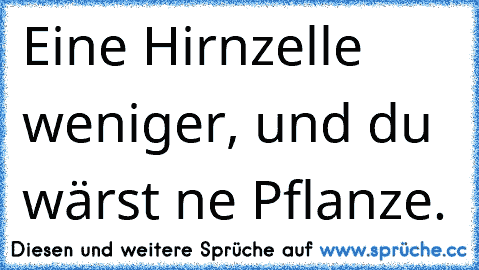 Eine Hirnzelle weniger, und du wärst ne Pflanze.