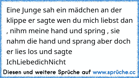 Eine Junge sah ein mädchen an der klippe er sagte wen du mich liebst dan , nihm meine hand und spring , sie nahm die hand und sprang aber doch er lies los und sagte IchLiebedichNicht