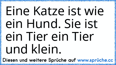 Eine Katze ist wie ein Hund. Sie ist ein Tier ein Tier und klein.