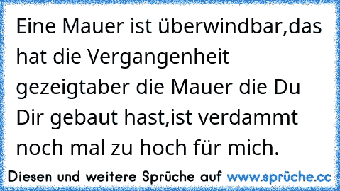 Eine Mauer ist überwindbar,
das hat die Vergangenheit gezeigt
aber die Mauer die Du Dir gebaut hast,
ist verdammt noch mal zu hoch für mich.