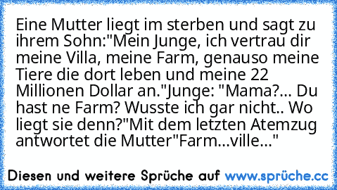 Eine Mutter liegt im sterben und sagt zu ihrem Sohn:
"Mein Junge, ich vertrau dir meine Villa, meine Farm, genauso meine Tiere die dort leben und meine 22 Millionen Dollar an."
Junge: "Mama?... Du hast ne Farm? Wusste ich gar nicht.. Wo liegt sie denn?"
Mit dem letzten Atemzug antwortet die Mutter
"Farm...ville..."