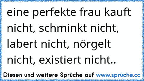 eine perfekte frau kauft nicht, schminkt nicht, labert nicht, nörgelt nicht, existiert nicht..