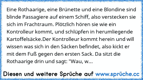 Eine Rothaarige, eine Brünette und eine Blondine sind blinde Passagiere auf einem Schiff, also verstecken sie sich im Frachtraum. Plötzlich hören sie wie ein Kontrolleur kommt, und schlüpfen in herumliegende Kartoffelsäcke.
Der Kontrolleur kommt herein und will wissen was sich in den Säcken befindet, also kickt er mit dem Fuß gegen den ersten Sack. Da sitzt die Rothaarige drin und sagt: "Wau, w...