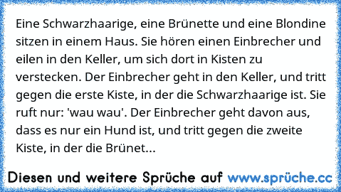 Eine Schwarzhaarige, eine Brünette und eine Blondine sitzen in einem Haus. Sie hören einen Einbrecher und eilen in den Keller, um sich dort in Kisten zu verstecken. Der Einbrecher geht in den Keller, und tritt gegen die erste Kiste, in der die Schwarzhaarige ist. Sie ruft nur: 'wau wau'. Der Einbrecher geht davon aus, dass es nur ein Hund ist, und tritt gegen die zweite Kiste, in der die Brünette ...