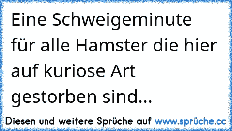 Eine Schweigeminute für alle Hamster die hier auf kuriose Art gestorben sind...