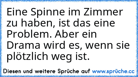 Eine Spinne im Zimmer zu haben, ist das eine Problem. Aber ein Drama wird es, wenn sie plötzlich weg ist.