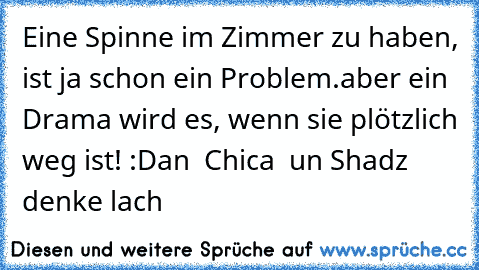 Eine Spinne im Zimmer zu haben, ist ja schon ein Problem.
aber ein Drama wird es, wenn sie plötzlich weg ist! :D
an  Chica  un Shadz denke lach