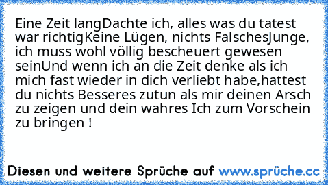 Eine Zeit lang
Dachte ich, alles was du tatest war richtig
Keine Lügen, nichts Falsches
Junge, ich muss wohl völlig bescheuert gewesen sein
Und wenn ich an die Zeit denke als ich mich fast wieder in dich verliebt habe
,hattest du nichts Besseres zutun als mir deinen Arsch zu zeigen und dein wahres Ich zum Vorschein zu bringen !