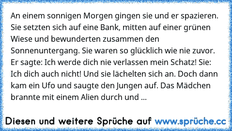 An einem sonnigen Morgen gingen sie und er spazieren. Sie setzten sich auf eine Bank, mitten auf einer grünen Wiese und bewunderten zusammen den Sonnenuntergang. Sie waren so glücklich wie nie zuvor. Er sagte: Ich werde dich nie verlassen mein Schatz! Sie: Ich dich auch nicht! Und sie lächelten sich an. Doch dann kam ein Ufo und saugte den Jungen auf. Das Mädchen brannte mit einem Alien durch u...