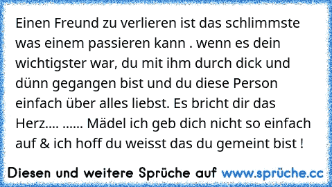 Einen Freund zu verlieren ist das schlimmste was einem passieren kann . wenn es dein wichtigster war, du mit ihm durch dick und dünn gegangen bist und du diese Person einfach über alles liebst. Es bricht dir das Herz.... 
.
.
.
.
.
.
 Mädel ich geb dich nicht so einfach auf & ich hoff du weisst das du gemeint bist !