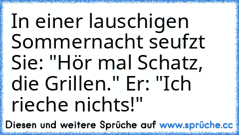 In einer lauschigen Sommernacht seufzt Sie: "Hör mal Schatz, die Grillen."
 Er: "Ich rieche nichts!"