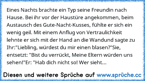 Eines Nachts brachte ein Typ seine Freundin nach Hause. Bei ihr vor der Haustüre angekommen, beim Austausch des Gute-Nacht-Kusses, fühlte er sich ein wenig geil. Mit einem Anflug von Vertraulichkeit lehnte er sich mit der Hand an die Wand
und sagte zu Ihr:
"Liebling, würdest du mir einen blasen?"
Sie, entsetzt: "Bist du verrückt, Meine Eltern würden uns sehen!"
Er: "Hab dich nicht so! Wer sieht...