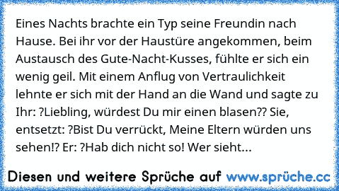 Eines Nachts brachte ein Typ seine Freundin nach Hause. Bei ihr vor der Haustüre angekommen, beim Austausch des Gute-Nacht-Kusses, fühlte er sich ein wenig geil. Mit einem Anflug von Vertraulichkeit lehnte er sich mit der Hand an die Wand und sagte zu Ihr: ?Liebling, würdest Du mir einen blasen?? Sie, entsetzt: ?Bist Du verrückt, Meine Eltern würden uns sehen!? Er: ?Hab dich nicht so! Wer sieht...