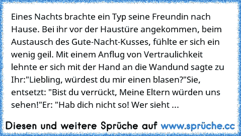 Eines Nachts brachte ein Typ seine Freundin nach Hause. Bei ihr vor der Haustüre angekommen, beim Austausch des Gute-Nacht-Kusses, fühlte er sich ein wenig geil. Mit einem Anflug von Vertraulichkeit lehnte er sich mit der Hand an die Wandund sagte zu Ihr:
"Liebling, würdest du mir einen blasen?"
Sie, entsetzt: "Bist du verrückt, Meine Eltern würden uns sehen!"
Er: "Hab dich nicht so! Wer sieht ...