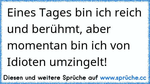 Eines Tages bin ich reich und berühmt, aber momentan bin ich von Idioten umzingelt!