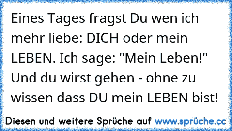 Eines Tages fragst Du wen ich mehr liebe: DICH oder mein LEBEN. Ich sage: "Mein Leben!" Und du wirst gehen - ohne zu wissen dass DU mein LEBEN bist!