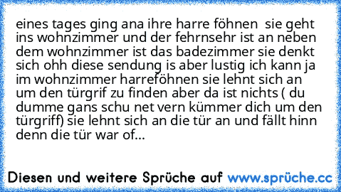 eines tages ging ana ihre harre föhnen  sie geht ins wohnzimmer und der fehrnsehr ist an neben dem wohnzimmer ist das badezimmer sie denkt sich ohh diese sendung is aber lustig ich kann ja im wohnzimmer harreföhnen sie lehnt sich an um den türgrif zu finden aber da ist nichts ( du dumme gans schu net vern kümmer dich um den türgriff) sie lehnt sich an die tür an und fällt hinn
 denn die tür war...