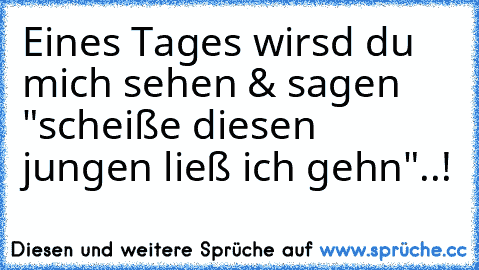 Eines Tages wirsd du mich sehen & sagen "scheiße diesen jungen ließ ich gehn"..!