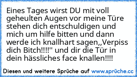 Eines Tages wirst DU mit voll geheulten Augen vor meine Türe stehen dich entschuldigen und mich um hilfe bitten und dann werde ich knallhart sagen,,Verpiss dich Bitch!!!!'' und dir die Tür in dein hässliches face knallen!!!!