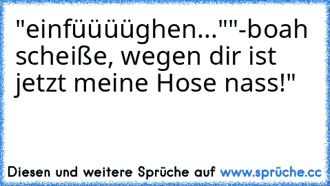 "einfüüüüghen..."
"-boah scheiße, wegen dir ist jetzt meine Hose nass!"