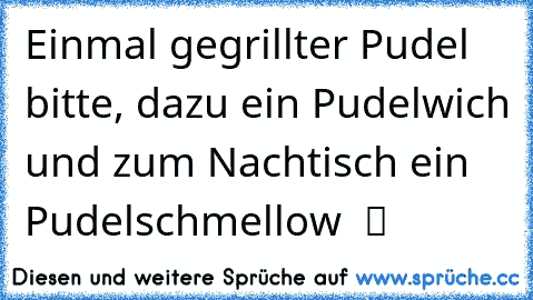 Einmal gegrillter Pudel bitte, dazu ein Pudelwich und zum Nachtisch ein Pudelschmellow  ツ