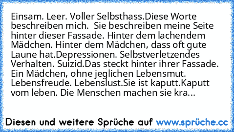 Einsam. Leer. Voller Selbsthass.
Diese Worte beschreiben mich.  Sie beschreiben meine Seite hinter dieser Fassade. Hinter dem lachendem Mädchen. Hinter dem Mädchen, dass oft gute Laune hat.
Depressionen. Selbstverletzendes Verhalten. Suizid.
Das steckt hinter ihrer Fassade. Ein Mädchen, ohne jeglichen Lebensmut. Lebensfreude. Lebenslust.
Sie ist kaputt.Kaputt vom leben. Die Menschen machen sie ...