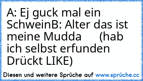 A: Ej guck mal ein Schwein
B: Alter das ist meine Mudda
      (hab ich selbst erfunden Drückt LIKE)