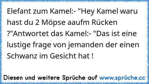 Elefant zum Kamel:
- "Hey Kamel waru hast du 2 Möpse aaufm Rücken ?"
Antwortet das Kamel:
- "Das ist eine lustige frage von jemanden der einen Schwanz im Gesicht hat !