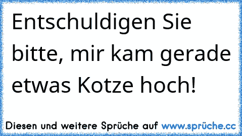 Entschuldigen Sie bitte, mir kam gerade etwas Kotze hoch!