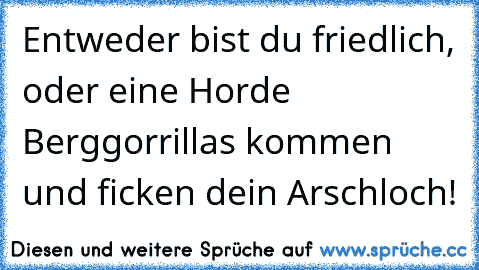 Entweder bist du friedlich, oder eine Horde Berggorrillas kommen und ficken﻿ dein Arschloch!