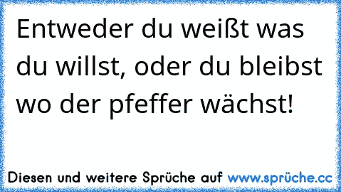 Entweder du weißt was du willst, oder du bleibst wo der pfeffer wächst!