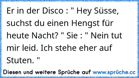 Er in der Disco : " Hey Süsse, suchst du einen Hengst für heute Nacht? " Sie : " Nein tut mir leid. Ich stehe eher auf Stuten. "