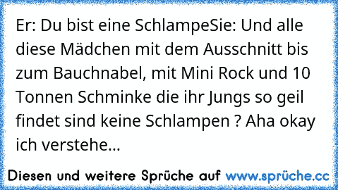 Er: Du bist eine Schlampe
Sie: Und alle diese Mädchen mit dem Ausschnitt bis zum Bauchnabel, mit Mini Rock und 10 Tonnen Schminke die ihr Jungs so geil findet sind keine Schlampen ? Aha okay ich verstehe...