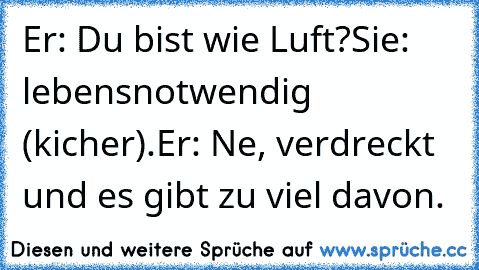 Er: Du bist wie Luft?
Sie: lebensnotwendig (kicher).
Er: Ne, verdreckt und es gibt zu viel davon.