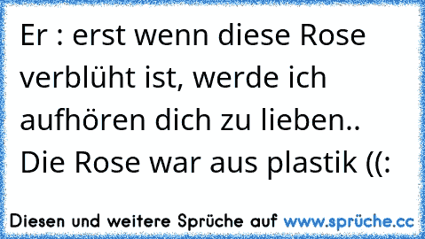 Er : erst wenn diese Rose verblüht ist, werde ich aufhören dich zu lieben.. Die Rose war aus plastik ((: 