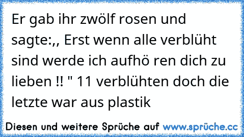 Er gab ihr zwölf rosen und sagte:,, Erst wenn alle verblüht sind werde ich aufhö ren dich zu lieben !! " 11 verblühten doch die letzte war aus plastik 