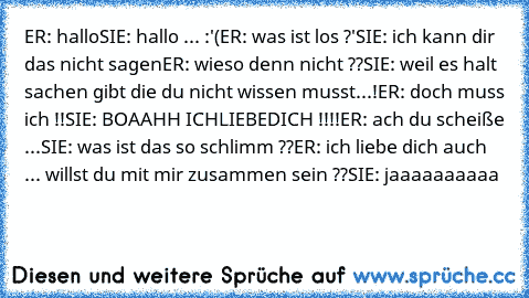 ER: hallo
SIE: hallo ... :'(
ER: was ist los ?'
SIE: ich kann dir das nicht sagen
ER: wieso denn nicht ??
SIE: weil es halt sachen gibt die du nicht wissen musst...!
ER: doch muss ich !!
SIE: BOAAHH ICHLIEBEDICH !!!!
ER: ach du scheiße ...
SIE: was ist das so schlimm ??
ER: ich liebe dich auch ... willst du mit mir zusammen sein ??
SIE: jaaaaaaaaaa ♥