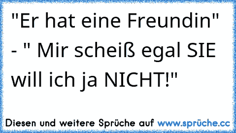 "Er hat eine Freundin" - " Mir scheiß egal SIE will ich ja NICHT!"