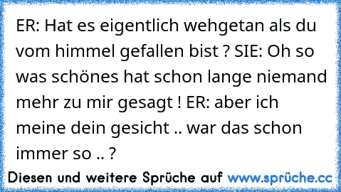 ER: Hat es eigentlich wehgetan als du vom himmel gefallen bist ? SIE: Oh so was schönes hat schon lange niemand mehr zu mir gesagt !♥ ER: aber ich meine dein gesicht .. war das schon immer so .. ?