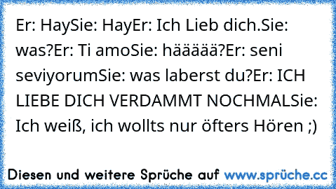 Er: Hay
Sie: Hay
Er: Ich Lieb dich.
Sie: was?
Er: Ti amo
Sie: häääää?
Er: seni seviyorum
Sie: was laberst du?
Er: ICH LIEBE DICH VERDAMMT NOCHMAL
Sie: Ich weiß, ich wollts nur öfters Hören ;) ♥