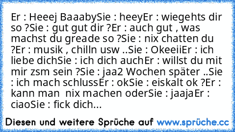 Er : Heeej ´Baaaby
Sie : heey
Er : wiegehts dir so ?
Sie : gut gut dir ?
Er : auch gut , was machst du greade so ?
Sie : nix chatten du ?
Er : musik , chilln usw ..
Sie : Okeeii
Er : ich liebe dich
Sie : ich dich auch
Er : willst du mit mir zsm sein ?
Sie : jaa
´2 Wochen später ..
Sie : ich mach schluss
Er : ok
Sie : eiskalt ok ?
Er : kann man  nix machen oder
Sie : jaaja
Er : ciao
Sie : fick dich...