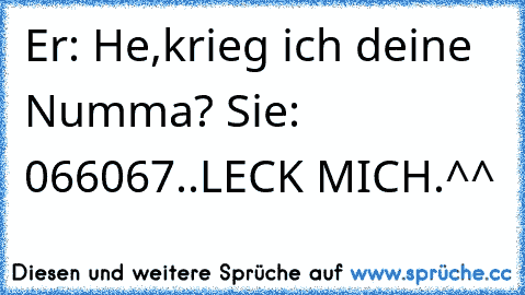 Er: He,krieg ich deine Numma? Sie: 066067..LECK MICH.^^