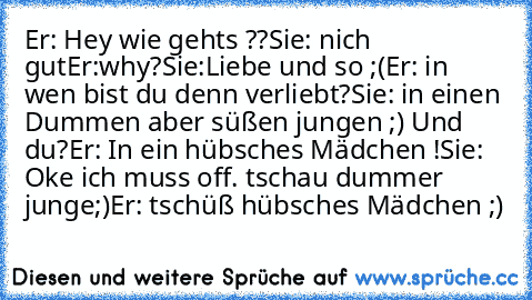 Er: Hey wie gehts ??
Sie: nich gut
Er:why?
Sie:Liebe und so ;(
Er: in wen bist du denn verliebt?
Sie: in einen Dummen aber süßen jungen ;) Und du?
Er: In ein hübsches Mädchen !
Sie: Oke ich muss off. tschau dummer junge;)
Er: tschüß hübsches Mädchen ;)