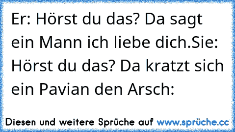 Er: Hörst du das? Da sagt ein Mann ich liebe dich.
Sie: Hörst du das? Da kratzt sich ein Pavian den Arsch: