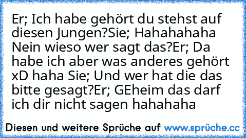 Er; Ich habe gehört du stehst auf diesen Jungen?
Sie; Hahahahaha Nein wieso wer sagt das?
Er; Da habe ich aber was anderes gehört xD haha 
Sie; Und wer hat die das bitte gesagt?
Er; GEheim das darf ich dir nicht sagen hahahaha