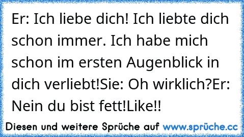 Er: Ich liebe dich! Ich liebte dich schon immer. Ich habe mich schon im ersten Augenblick in dich verliebt!
Sie: Oh wirklich?
Er: Nein du bist fett!
Like!!