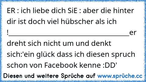 ER : ich liebe dich ♥
SiE : aber die hinter dir
 ist doch viel hübscher als ich !
____________________________________
er dreht sich nicht um und denkt sich:
'ein glück dass ich diesen spruch schon von Facebook kenne :DD'