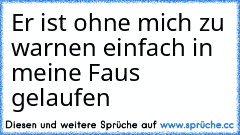 Er ist ohne mich zu warnen einfach in meine Faus gelaufen